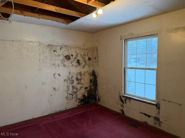 1260 Bennett Road, Madison, OH 44057