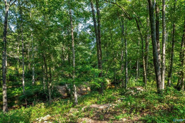 126 Caney Creek Drive, Rainsville, AL 35986