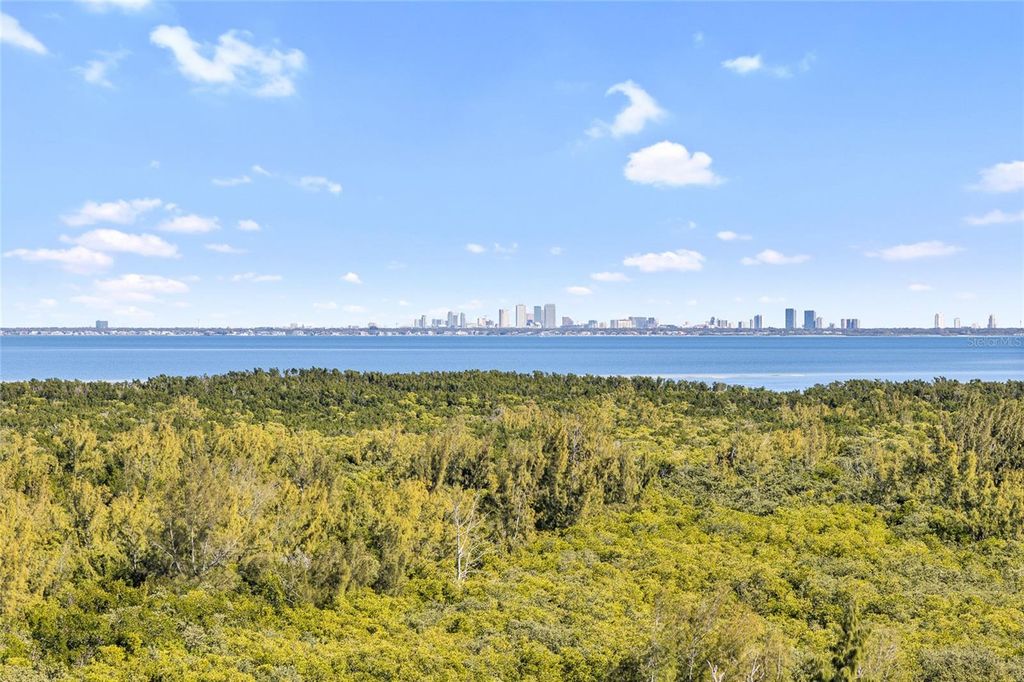 10851 MANGROVE CAY LANE NE 1112, St Petersburg, FL 33716