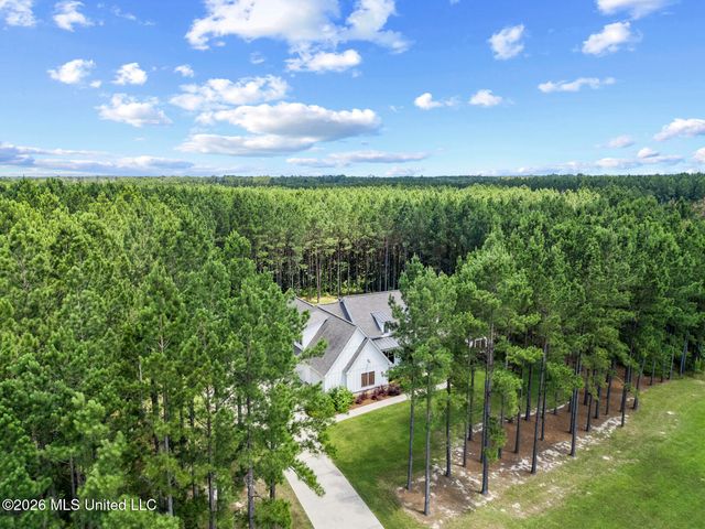 790 Clover Ridge Way, Brandon, MS 39047