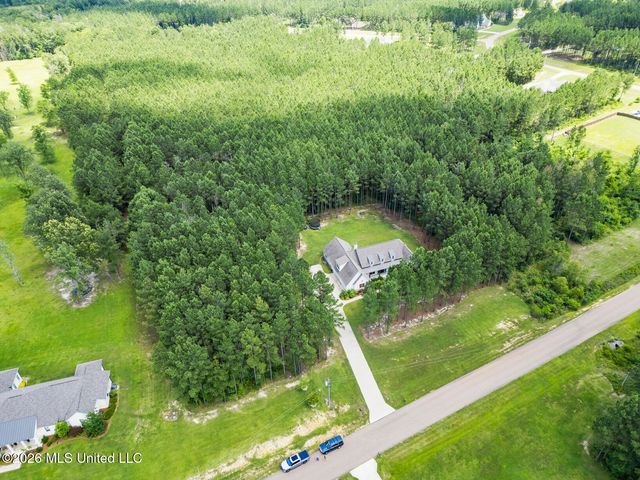 790 Clover Ridge Way, Brandon, MS 39047