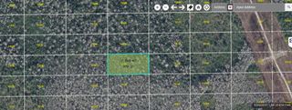 DILL ROAD, Orlando, FL 32820
