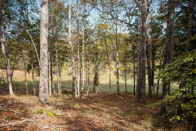 0 Goodbar Rd, Rock Island, TN 38581