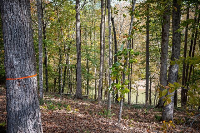 0 Goodbar Rd, Rock Island, TN 38581