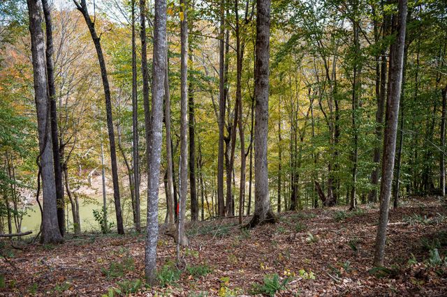 0 Goodbar Rd, Rock Island, TN 38581