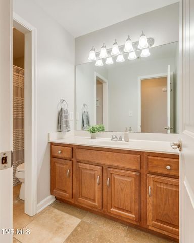 202 Jessicas Way, Johnson City, TN 37615