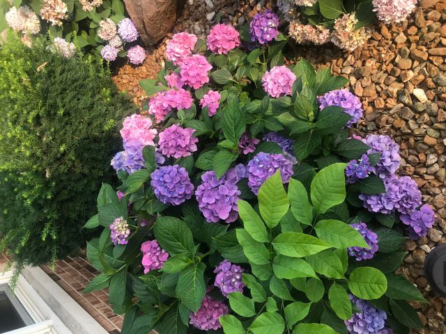 437 Fairview Avenue, Crown Point, IN 46307