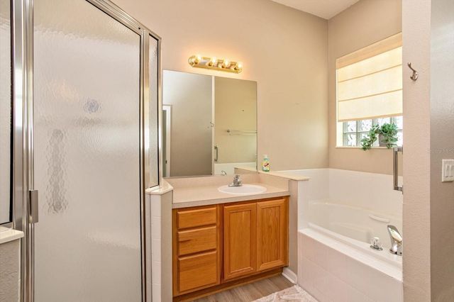 25206 ORMOND COURT, Leesburg, FL 34748