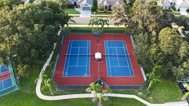 25206 ORMOND COURT, Leesburg, FL 34748
