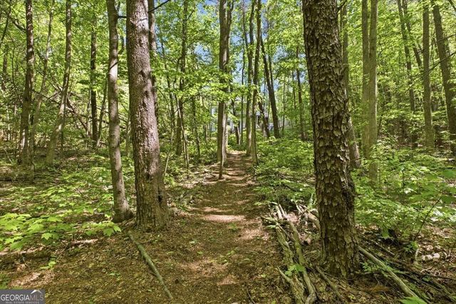 4956 Burnt Mountain Road, Ellijay, GA 30536