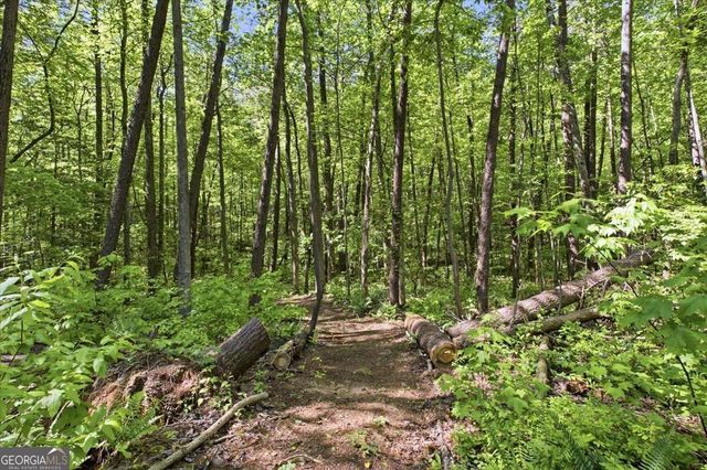 4956 Burnt Mountain Road, Ellijay, GA 30536