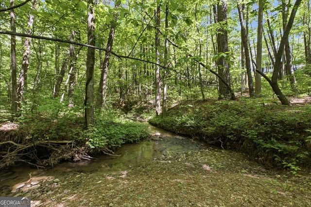 4956 Burnt Mountain Road, Ellijay, GA 30536