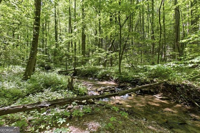 4956 Burnt Mountain Road, Ellijay, GA 30536