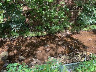 184/196 Bear Bend, Blairsville, GA 30512