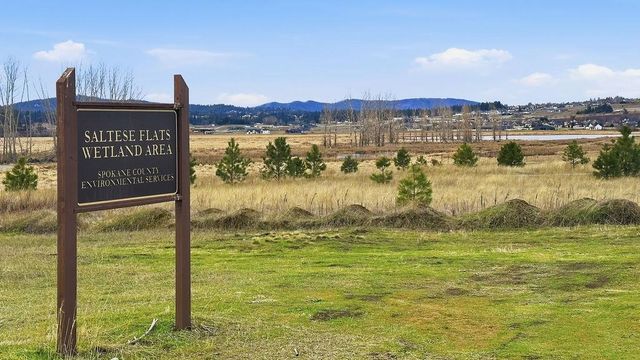 4111 S Henry Rd, Spokane Valley, WA 99016