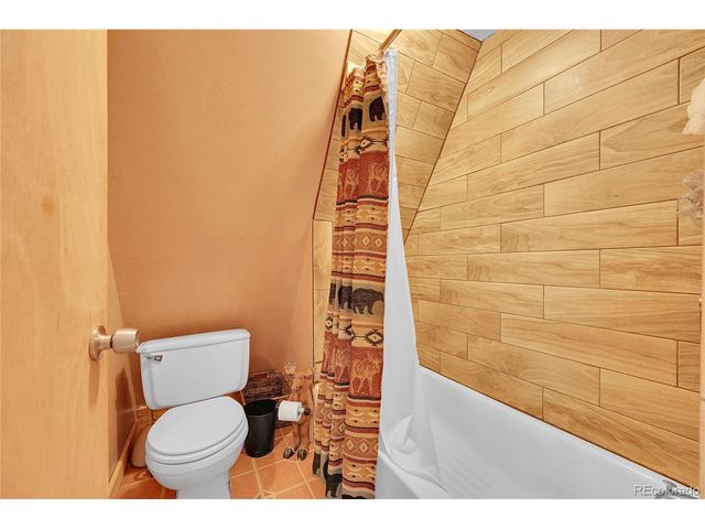 3427 Co Road 14, Fairplay, CO 80440