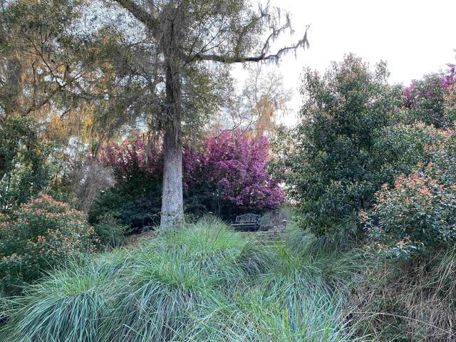 10678 Lake Iamonia Dr, Tallahassee, FL 32312