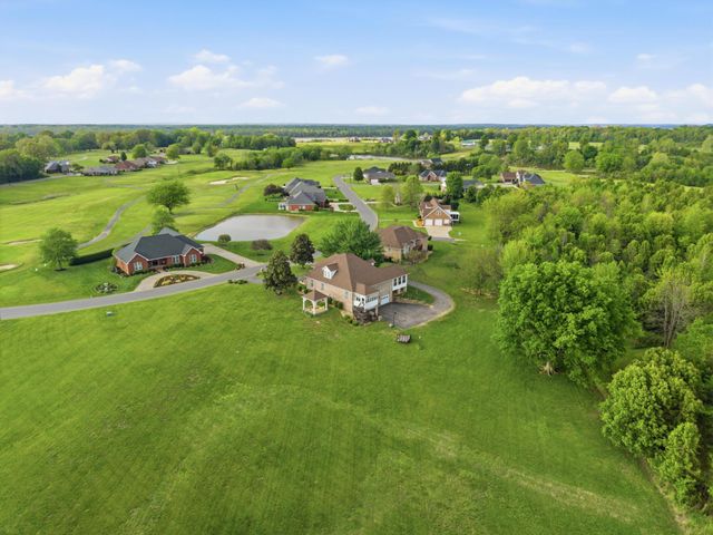 113 Clubhouse Drive, Ledbetter, KY 42058