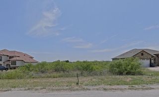 195 Burrobrush ST, Niederwald, TX 78640
