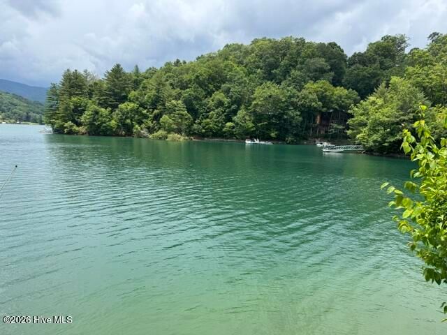 123 Tom Hay Drive, Topton, NC 28781