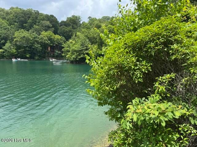 123 Tom Hay Drive, Topton, NC 28781