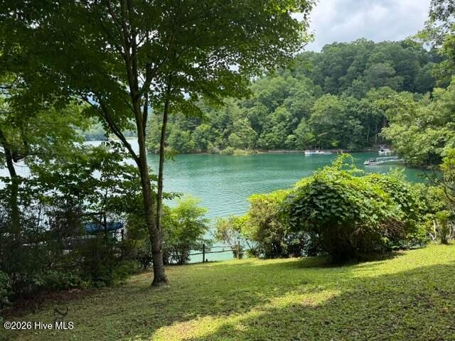 123 Tom Hay Drive, Topton, NC 28781