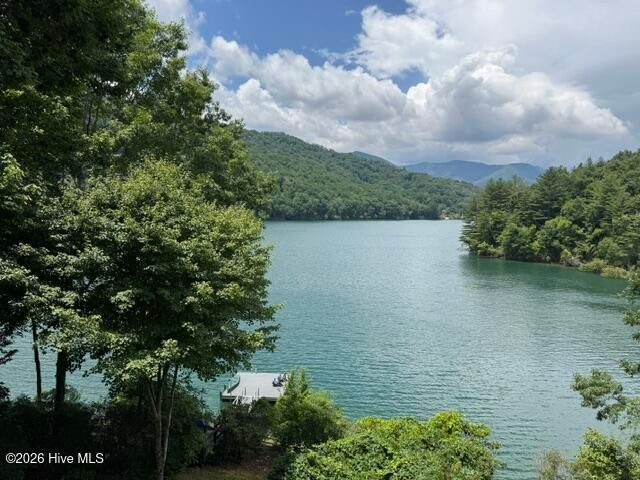 123 Tom Hay Drive, Topton, NC 28781