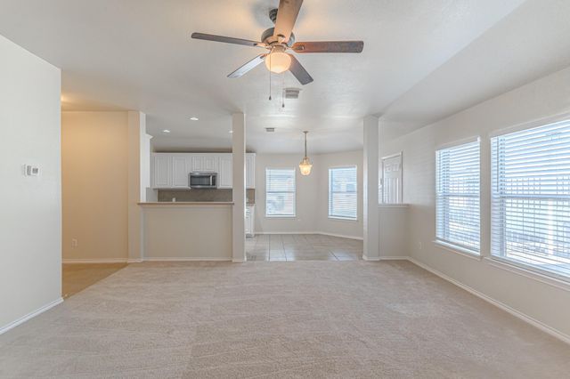 25506 Brisk Spring Court, Spring, TX 77373