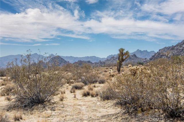 63317 Cottonwood, Joshua Tree, CA 92252