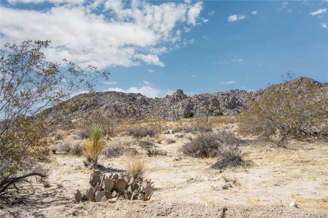 63317 Cottonwood, Joshua Tree, CA 92252