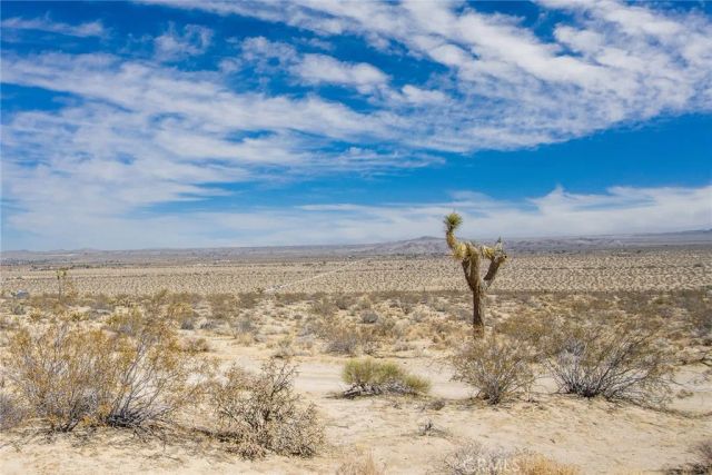 63317 Cottonwood, Joshua Tree, CA 92252