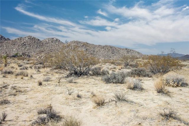 63317 Cottonwood, Joshua Tree, CA 92252