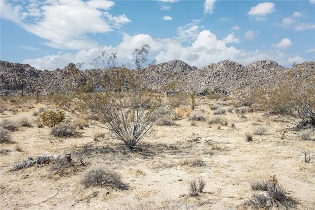 63317 Cottonwood, Joshua Tree, CA 92252