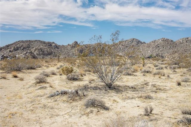 63317 Cottonwood, Joshua Tree, CA 92252