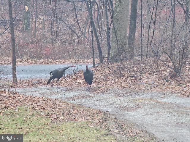 1395-J GREEN RIDGE RD, Orrtanna, PA 17353