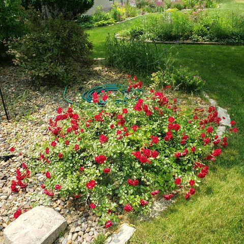 2501 Cherry Hills Drive, Champaign, IL 61822