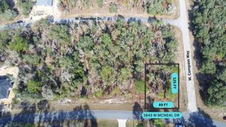 1643 W MCNEAL DRIVE, Citrus Springs, FL 34434