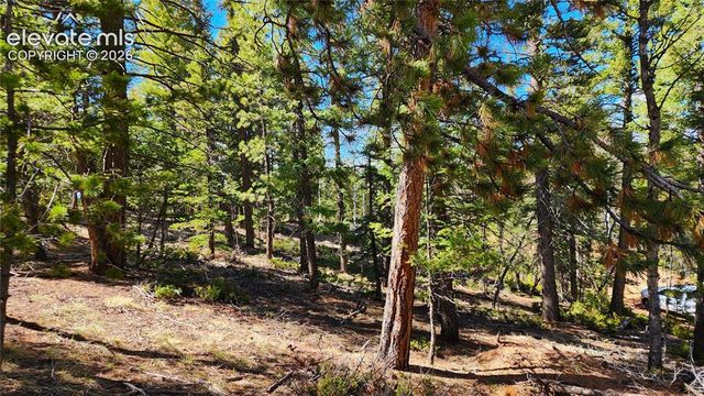 178 Gerka Lane, Florissant, CO 80816
