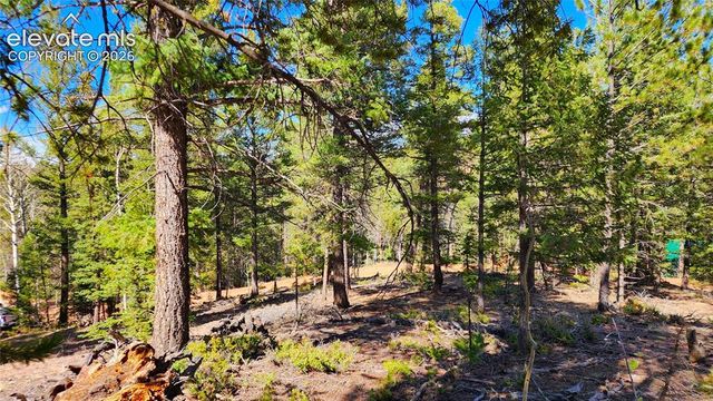 178 Gerka Lane, Florissant, CO 80816