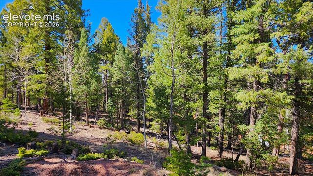 178 Gerka Lane, Florissant, CO 80816