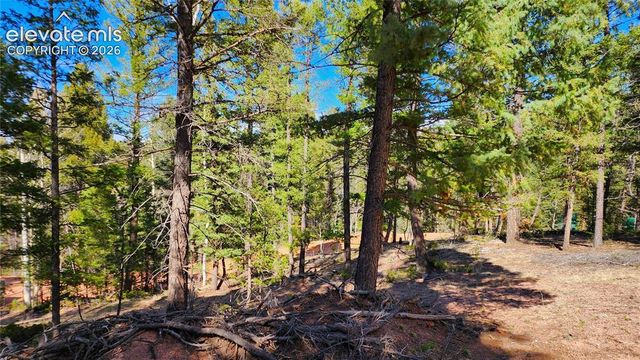 178 Gerka Lane, Florissant, CO 80816