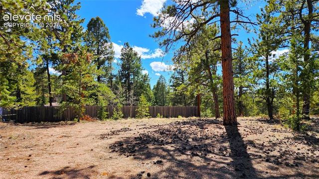 178 Gerka Lane, Florissant, CO 80816
