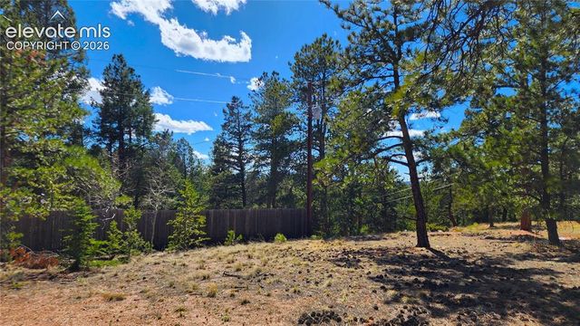 178 Gerka Lane, Florissant, CO 80816