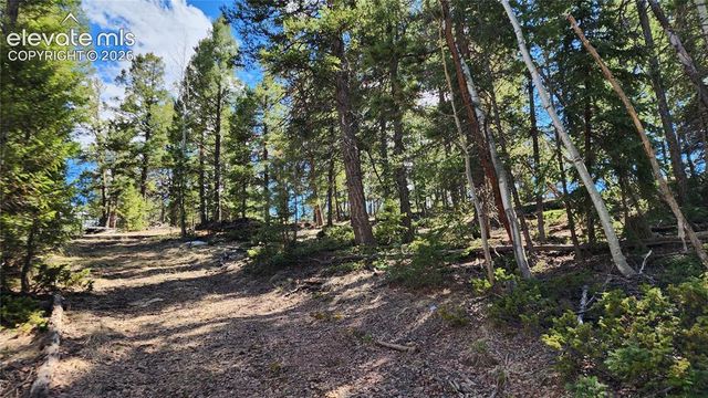 178 Gerka Lane, Florissant, CO 80816