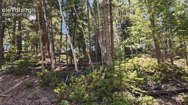 178 Gerka Lane, Florissant, CO 80816
