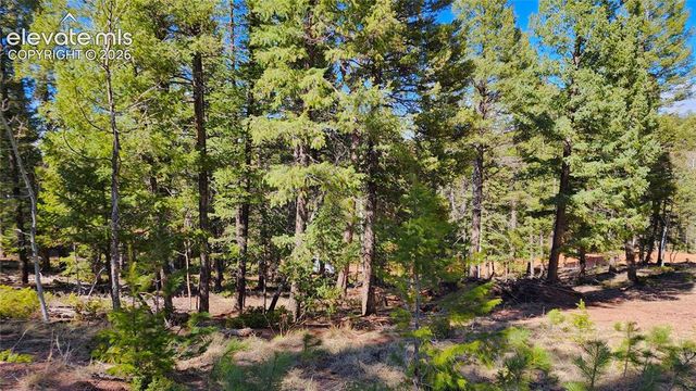 178 Gerka Lane, Florissant, CO 80816