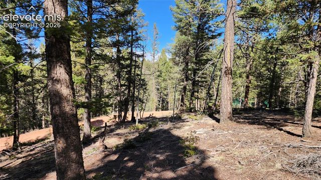 178 Gerka Lane, Florissant, CO 80816