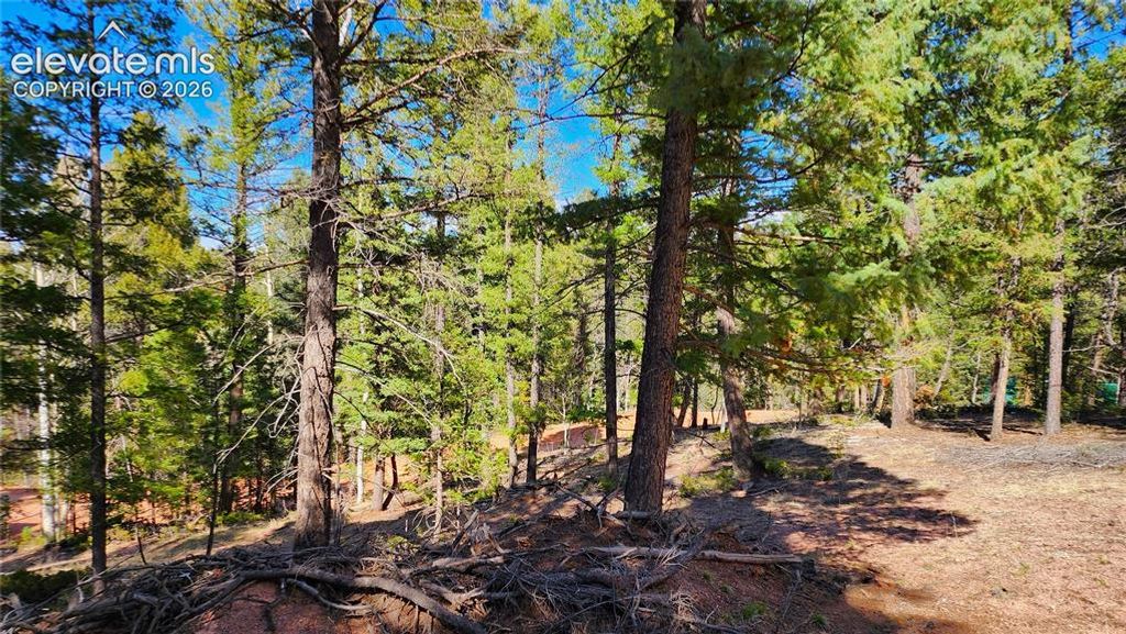 178 Gerka Lane, Florissant, CO 80816 — photo 2
