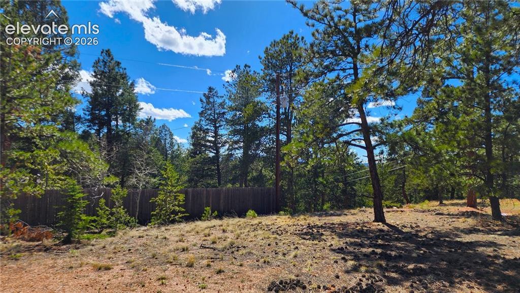 178 Gerka Lane, Florissant, CO 80816 — photo 4