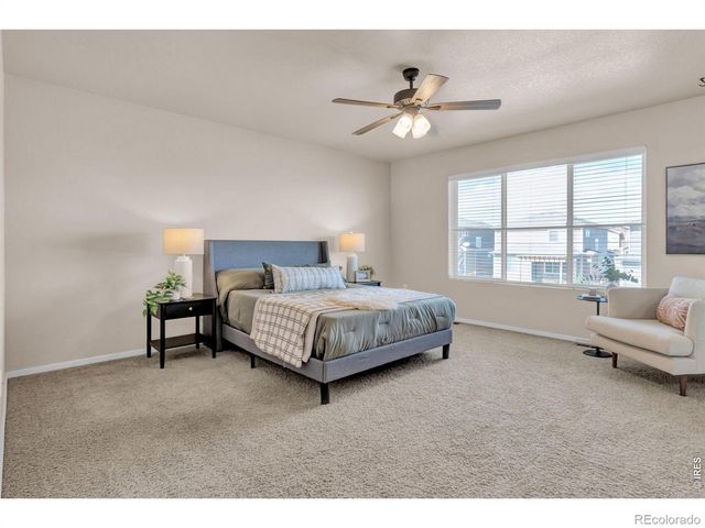 3007 Benfold Street, Loveland, CO 80538